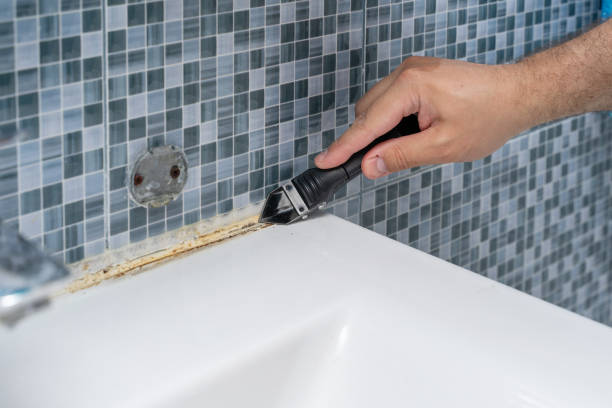 Best Commercial Mold Removal  in Latrobe, PA