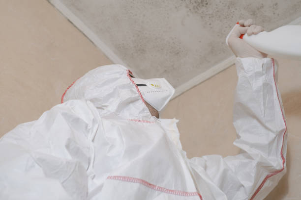 Best Commercial Mold Removal  in Latrobe, PA