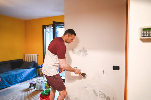 Best Mold Cleaning Services  in Latrobe, PA